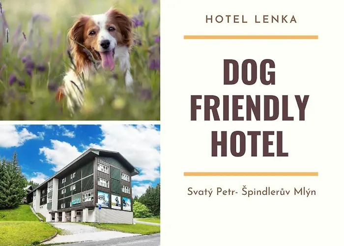 Lenka Hotell 3*